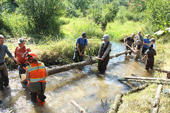 Trout in Wautoma’s Bird Creek received a boost Aug. 19 from Trout Unlimited’s annual youth camp, held Aug. 17-20 in Waupaca and Waushara counties. Campers, DNR crew and volunteers installed fish habitat in the stream, which includes brook, brown and rainbow trout. Photos courtesy of Greg Seubert.