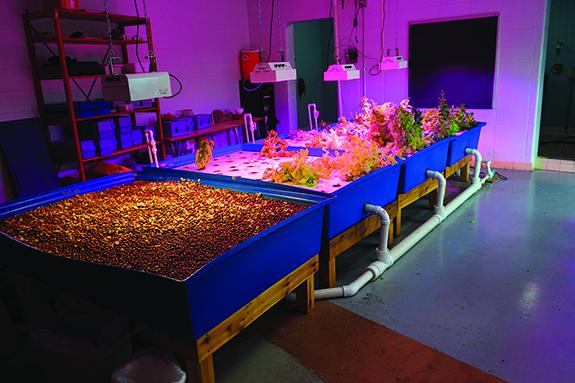 The Wautoma High School aquaponics lab was created in 2014 for a hands-on learning method for the students. The school recently received a STEM Grant for the lab from the Adams-Colombia Electric Cooperative.