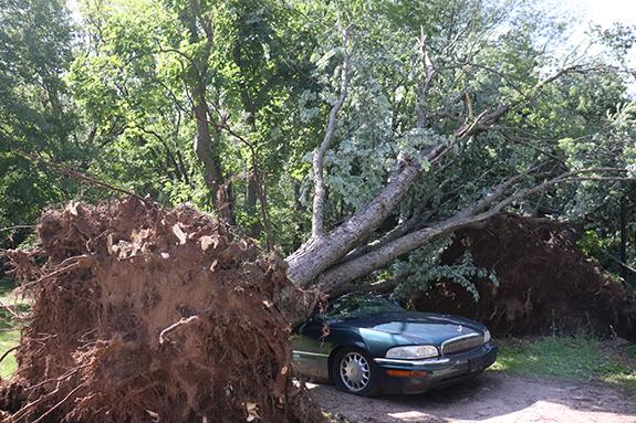 A Wautoma resident came home to a tree that had fallen on one of his cars following the June 15 storm.