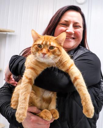 WCAS Board Member Erin Flynn holds on to Spice, a female orange tabby up for adoption.